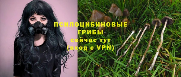 стафф Алексеевка